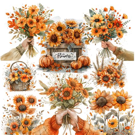 Clipart, Digital, "golden Harvest Market" 100+ Png's, Farmers Market ...