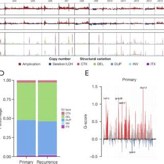 Image result for Mechanism Copy Number Variation