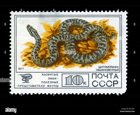 UKRAINE - CIRCA 1977: A Stamp sheet printed in USSR shows Cottonmouth ...