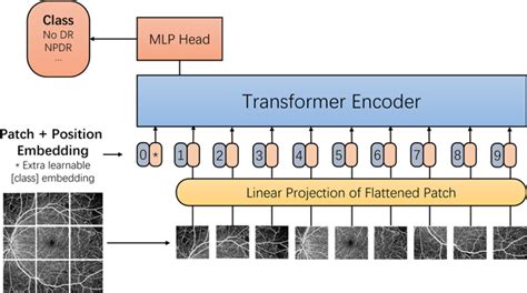 Vision Transformer 的图像结果