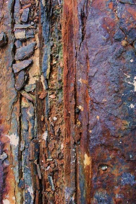 Drawing Texture Examples 的图像结果