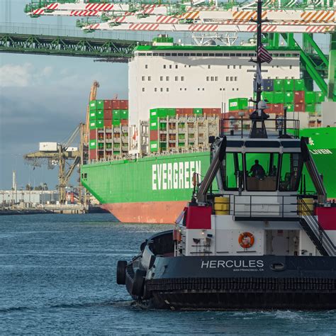 Image result for Importing Container