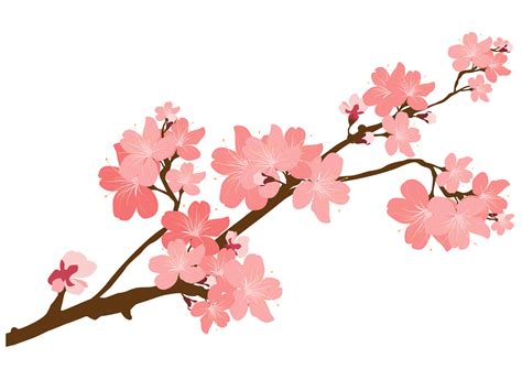 Cherry Blossom Clipart at GetDrawings | Free download