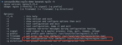 Image result for Nginx Documentation