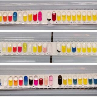 Image result for API Staph Test