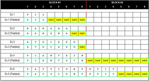 Image result for How Padding Oracle Work