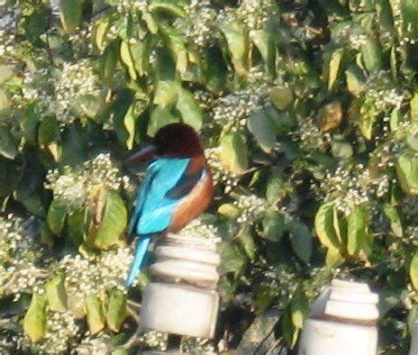 blaze new trails: June 2006