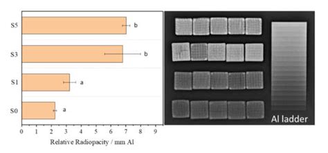Rapid Fabrication of MgNH4PO4·H2O/SrHPO4 Porous Composite Scaffolds ...