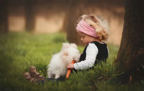 Wallpaper grass, nature, tree, animal, rabbit, girl, trunk, carrots for ...