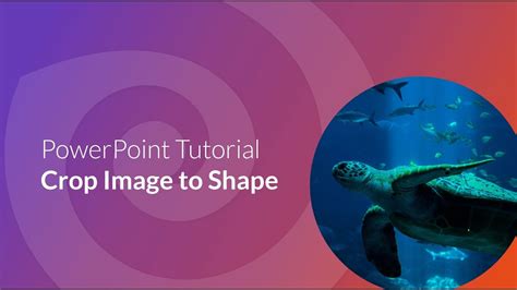 Image result for Save Custom Shapes in PowerPoint