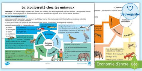 Les Familles d’Animaux - Sciences - Twinkl