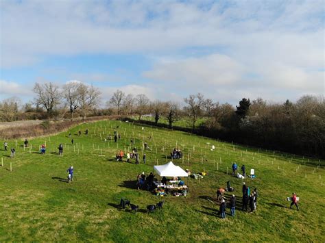 Tree-Planting Day 的图像结果