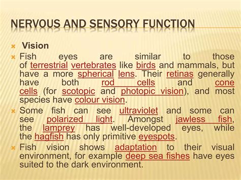 Physiology of fishes | PPTX