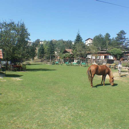 COMLEKCILER (Kastamonu) - Lodge Reviews & Photos - Tripadvisor