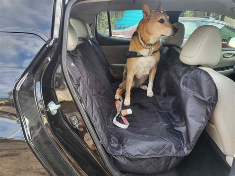 The 10 Best Dog Seat Covers of 2023, Tested and Reviewed