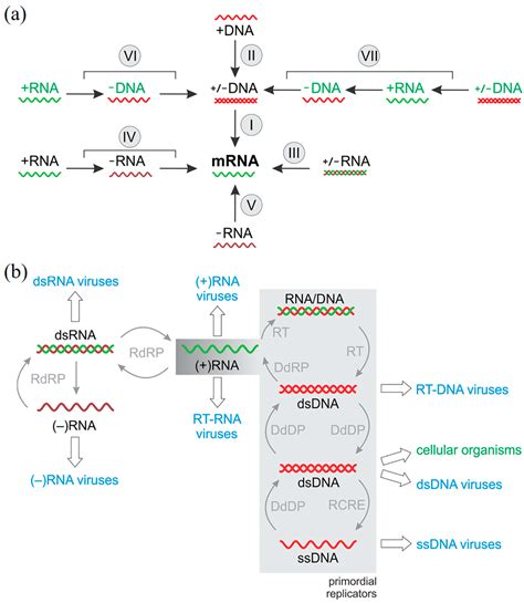 Recent Advances in DNA Nanotechnology-Enabled Biosensors for Virus Detection
