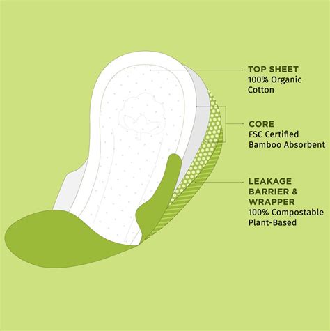 Buy PEE SAFE BIODEGRADABLE SANITARY PADS (OVERNIGHT) BOX OF 10 Online ...