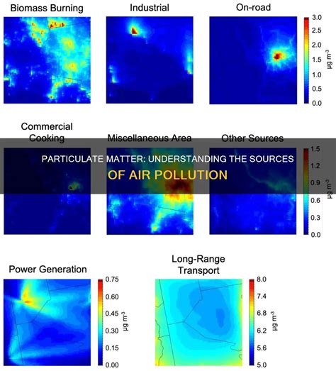 Particulate Matter: Understanding The Sources Of Air Pollution | ShunWaste