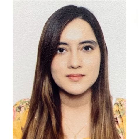 Isabel Navarrete Isais - Analista de CAPEX y activos fijos - Industria ...