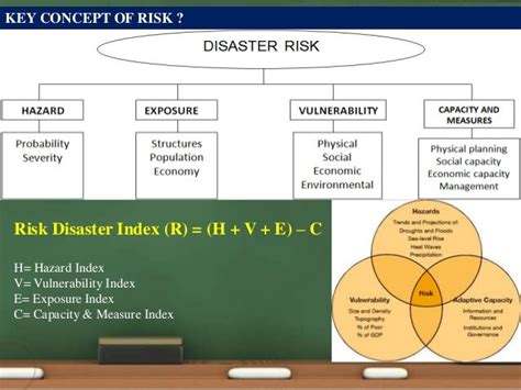 Image result for Dimension of Disaster Code