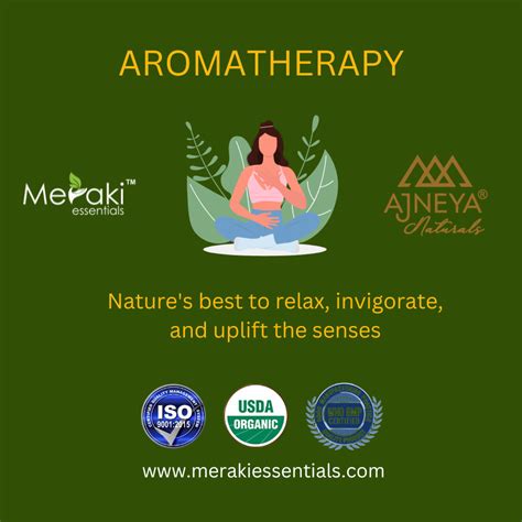 Pure Rosemary Essential Oil for Hair Growth | Meraki Essentials