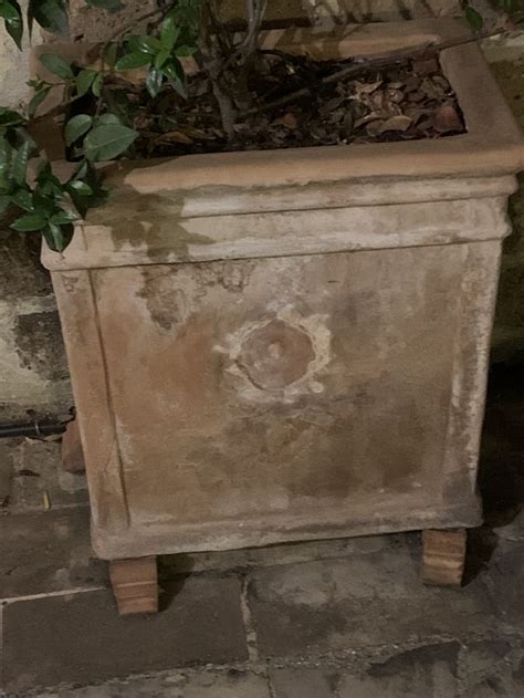 Image result for Rustic Hope Chest