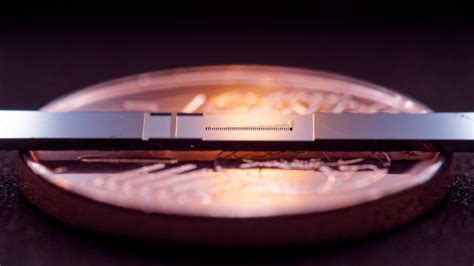 TED-Ed Particle Accelerator 的图像结果