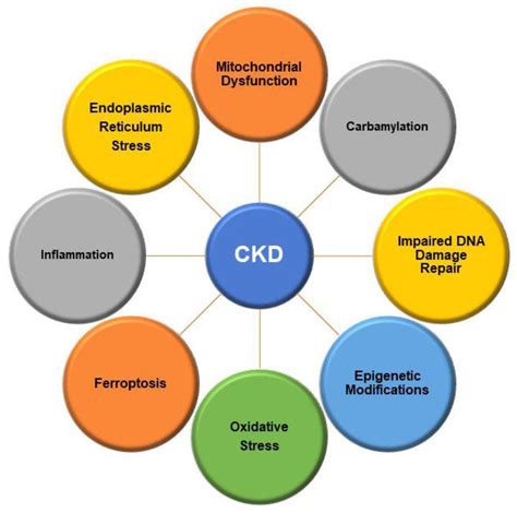 Molecular Mechanisms of Cellular Injury and Role of Toxic Heavy Metals in Chronic Kidney Disease