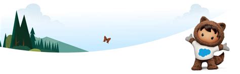 Salesforce CRM: Testen Sie das weltweit führende agentengesteuerte CRM ...