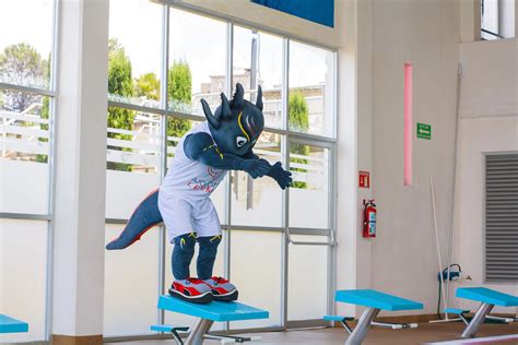 The History And Story Behind The New York Giants' Team Mascot