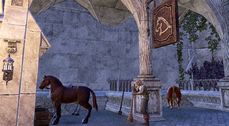 Image result for Speed Leveling Guide ESO