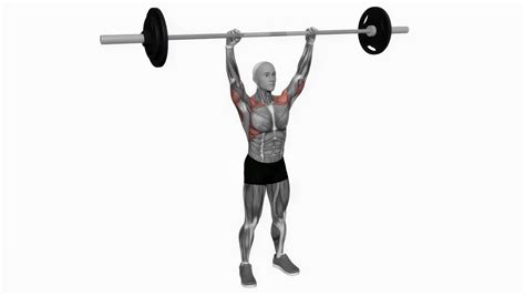 Standing Barbell Press at Matilda Neil blog