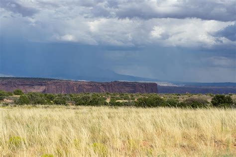 Image result for Free Sample Images Tiff Format