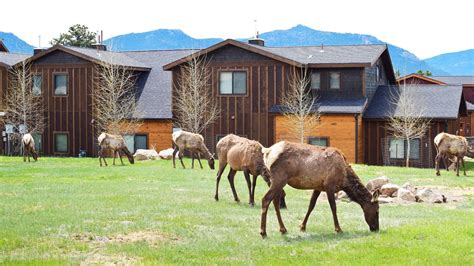 19 Fall Festivals & Autumn Events to Visit in Colorado in October