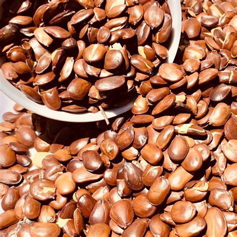 Sand Roasted Thangedu Pikkalu-250 Grams – Vintage Farmers