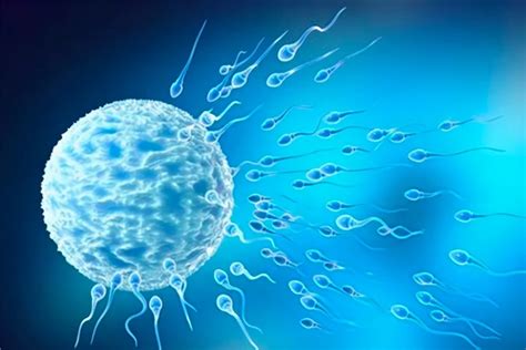 Science：促进精子成熟，保证精子活力的重要蛋白被发现，男性不育诊疗迎来新突破 - 知乎
