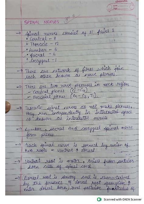 Nerves of Upper Limb: Comprehensive Lecture Notes (Course Code: 3M ...