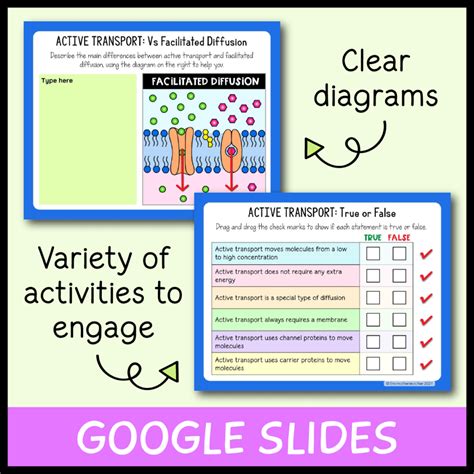 Free Science Lessons Active Transport 的图像结果