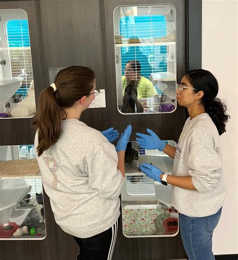 Athens Humane Society Georgia