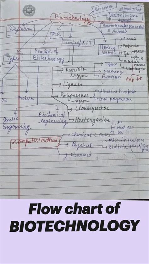 Biotechnology Flowchart 的图像结果