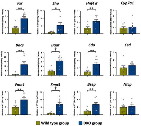 Metabolites | Special Issue : Regulation and Effect of Sulfur ...