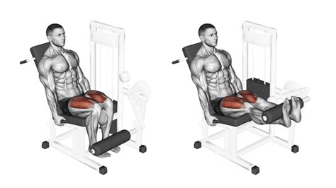 Leg Extension Leg Curl at James Browning blog