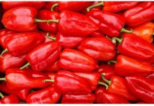 Red Sweet Pepper Premium Poster Canvas Art - ArtzFolio.com posters ...