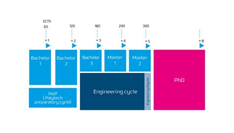 Our programs - Réseau Polytech