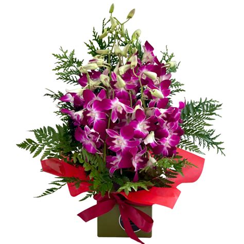 Beautiful Orchid Flowers Arrangement - Orchid Flowers Arrangement ...