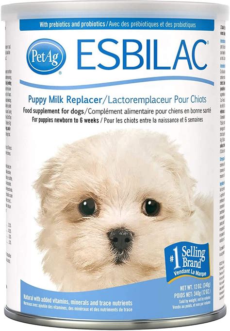 6 Best Milk Replacers for Puppies: Helping Out the Young & Hungry!