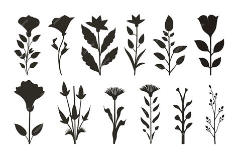 Premium Vector | Flat design flower silhouettes