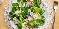 dove si comprano i fiori di bach vendita fiori commestibili dove si comprano di dove si comprano i fiori di bach vendita fiori commestibili dove si comprano di