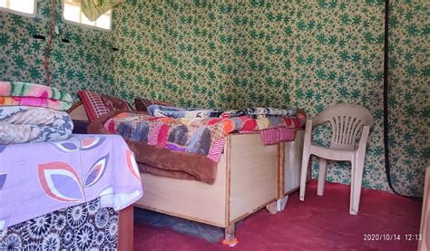 Top 5 Camp in chopta,cheapest camp in chopta,budget camp in chopta ...