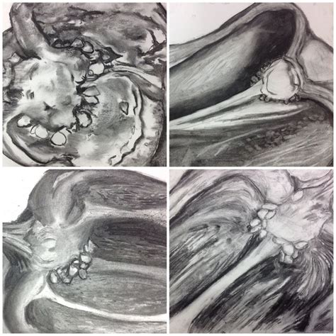 Image result for How to Use Viewfinder Grid Drawing